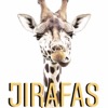 JIRAFAS