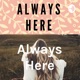 Always Here