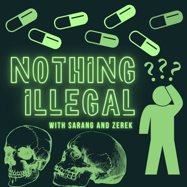 Nothing Illegal Artwork