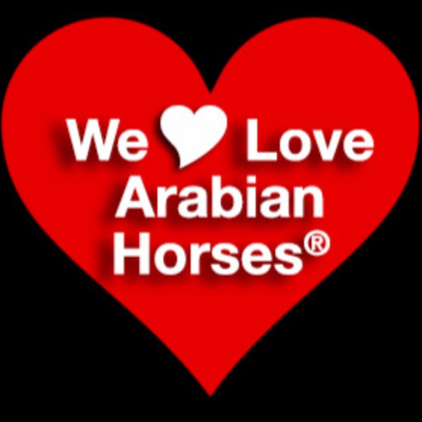 We LOVE Arabian Horses! Artwork