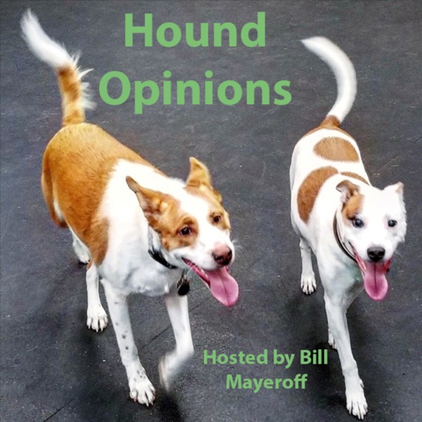 Hound Opinions Artwork