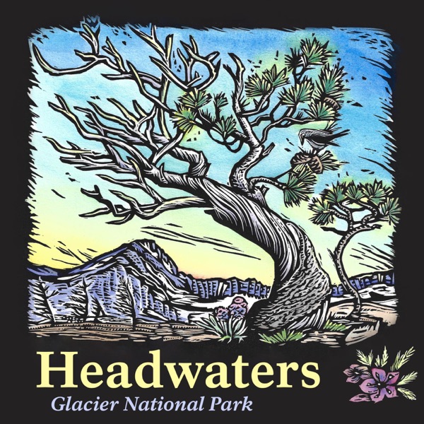 Artwork for Headwaters