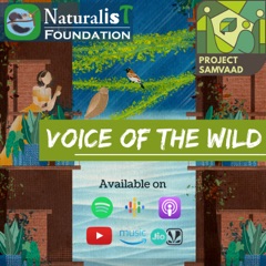 Voice of the Wild