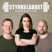 Styrkelabbet - Daniel Richter, Philip Wildenstam och Sandrine Quignaudon