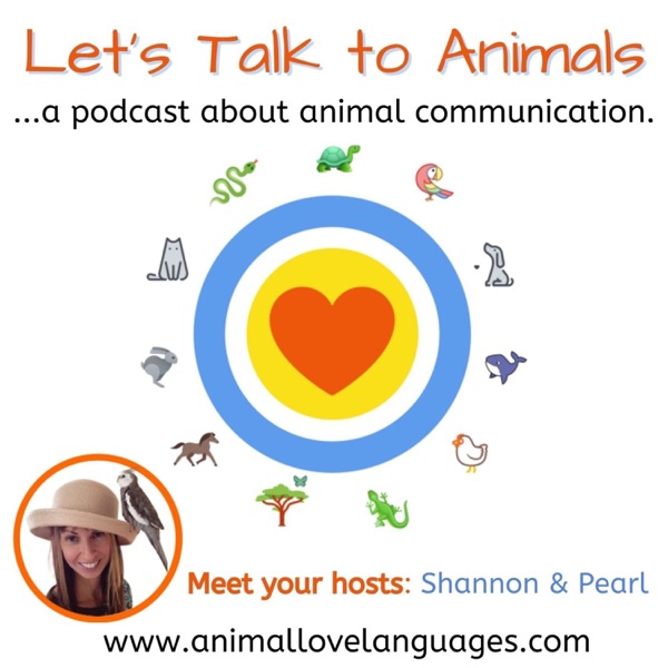 Let's Talk to Animals Artwork