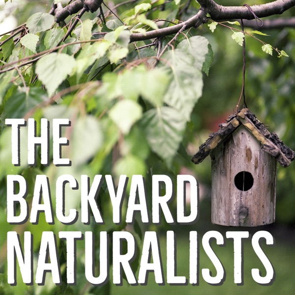 The Backyard Naturalists Artwork