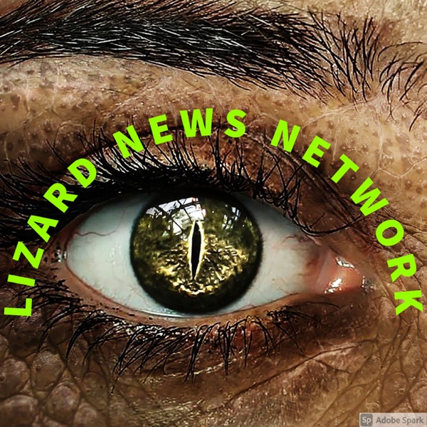Lizard News Network Artwork