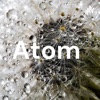 Atom  artwork