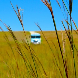 #20: Spring Hill Ranch Barn Tour Stop 6: Stone Corrals