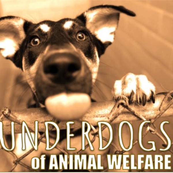 The Underdogs of Animal Welfare Artwork