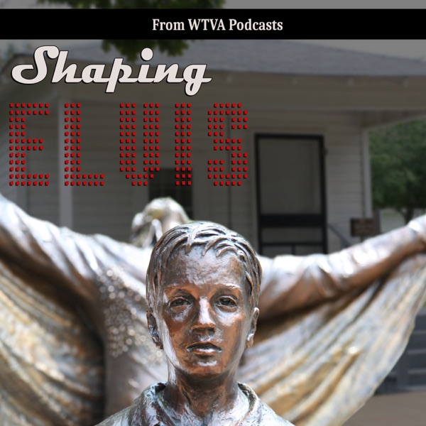 Shaping Elvis Artwork