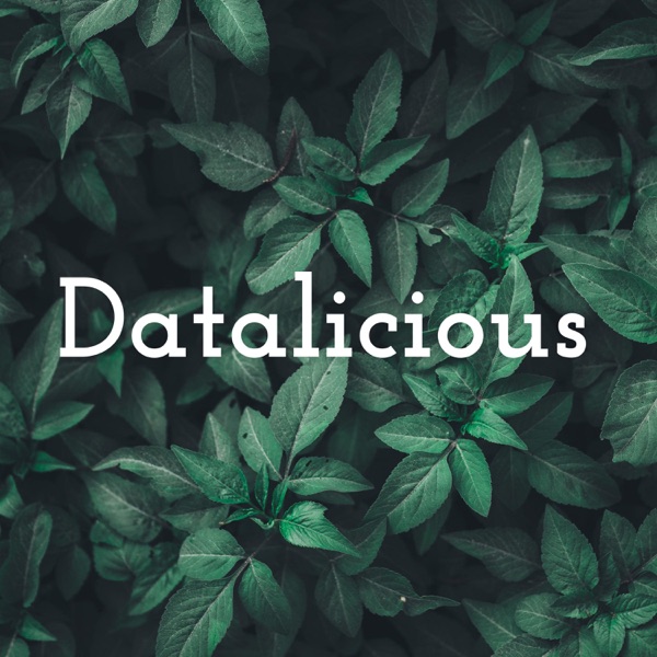 Datalicious Artwork