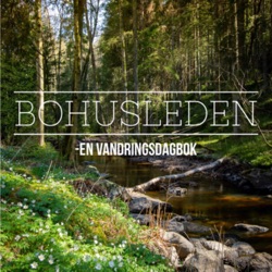 Bohusleden