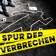 Spur der Verbrechen - Oberösterreichs spektakulärste Kriminalfälle