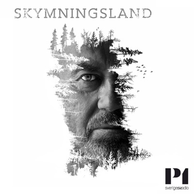 Skymningsland