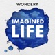 Imagined Life