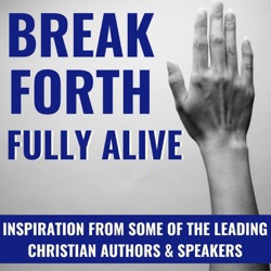 Breaking Down Walls: Overcoming Obstacles in the Christian Life Stephen Arterburn