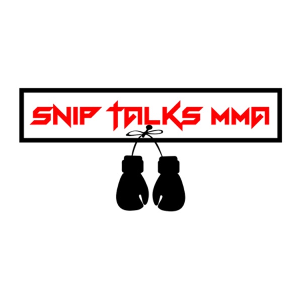 Snip_Talks_MMA Artwork
