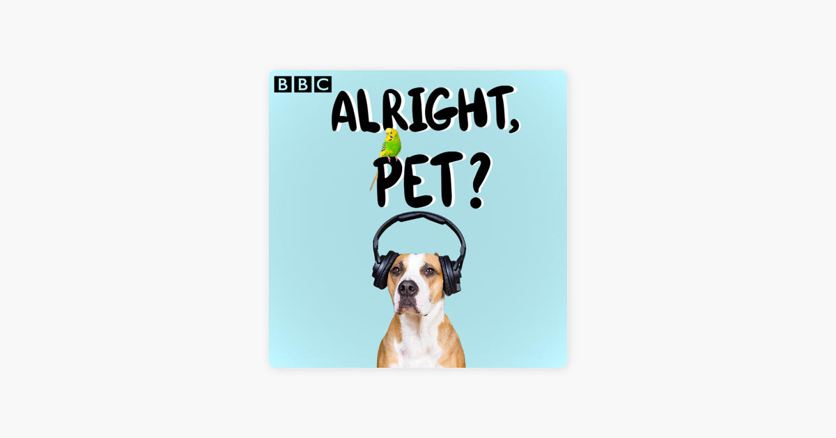 ‎Alright, Pet?: Weather presenter Owain Wyn Evans, pampered pussies and ...