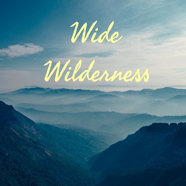 Wide Wilderness Artwork