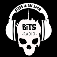 BITS Radio Episode 27 - Lisa Ovies and Kevin Mosley & Paul Tanter, Simon Philips and Ken Bresners & Tyler Williams