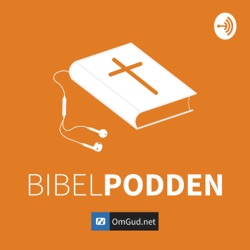 Bibelpod – Episode 46 - Evangeliet etter Lukas 5. 33-39