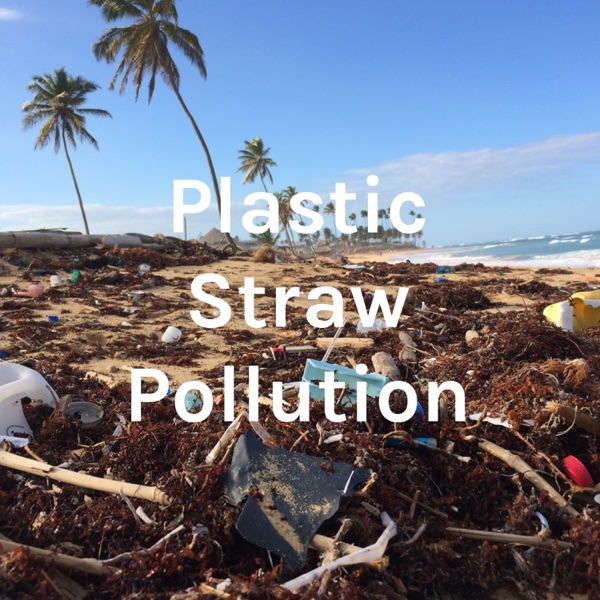 Plastic Straw Pollution Artwork