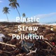 Plastic Straw Pollution