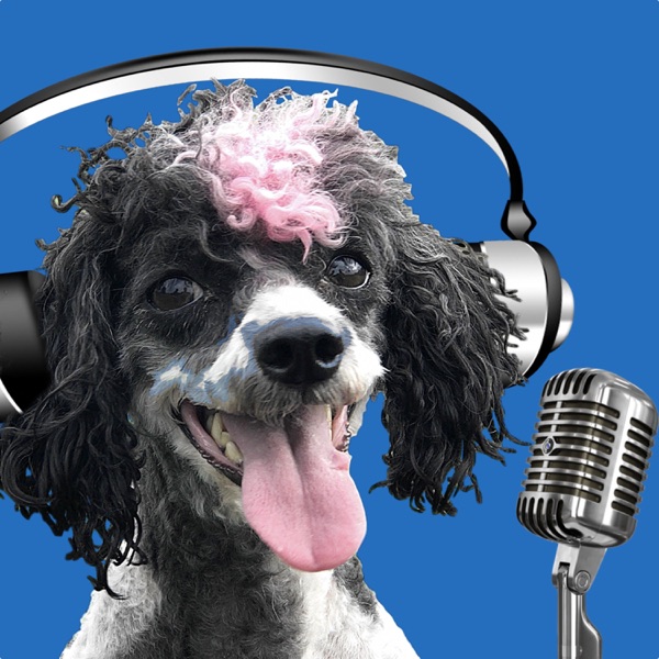 The McCann Dog Training Podcast