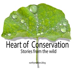 Plant and Tree Stories with Mallika Ravikumar and Nishanth Srinivas Ep#34