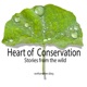 The Legacy of Technology for Wildlife Foundation: Ep #37