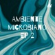 Microambientes, biopelículas y tapetes microbianos.