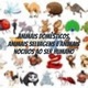 Animais Domésticos