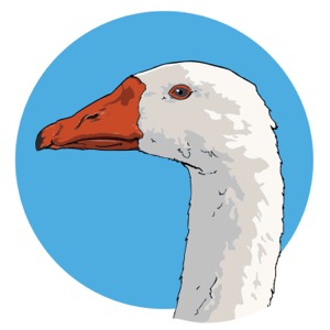 Game Goose