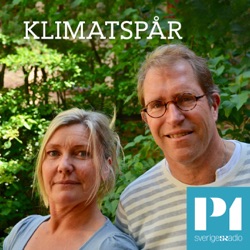 Klimatspår