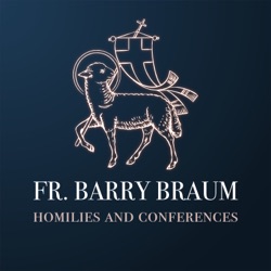 Fr. Barry Braum - Homilies and Conferences