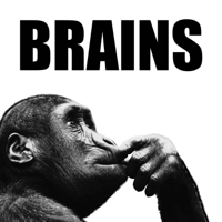 Brains podcast