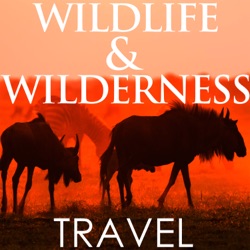 Wild Diaries - May Updates from Around the World