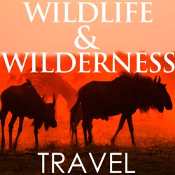 Safaris in Zambia with Nick Aslin