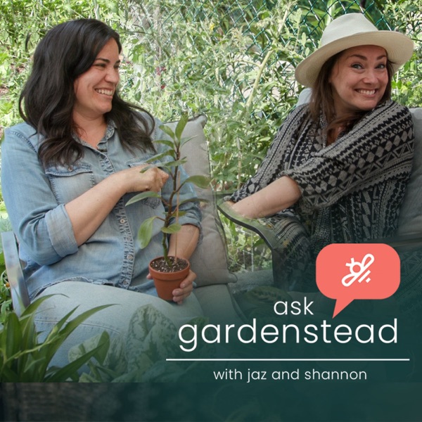 ASK gardenstead with Jaz and Shannon Artwork