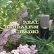 Real Herbalism Radio | Herbalism | Plant Medicine | Botany | Wild Crafting