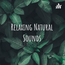 Relaxing Music With Water Sounds Meditation