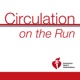 Circulation on the Run: Discussion with the 2024 Loscalzo Award Recipient