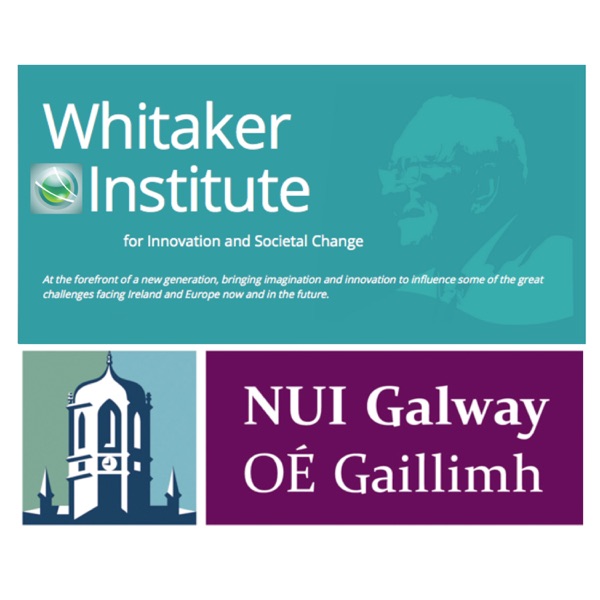 Whitaker Institute (NUI Galway) Artwork
