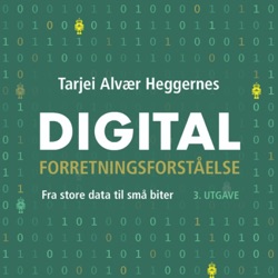 Digital Forretningsforståelse