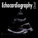 Echo Assessment of Size of Aortic Root and Ascending Aorta