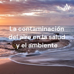 La contaminación del aire en la salud y el ambiente