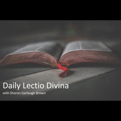 Daily Lectio Divina