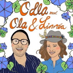 EP 29: DEN STORA SENSOMMAR COMBACKEN