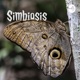 Simbiosis